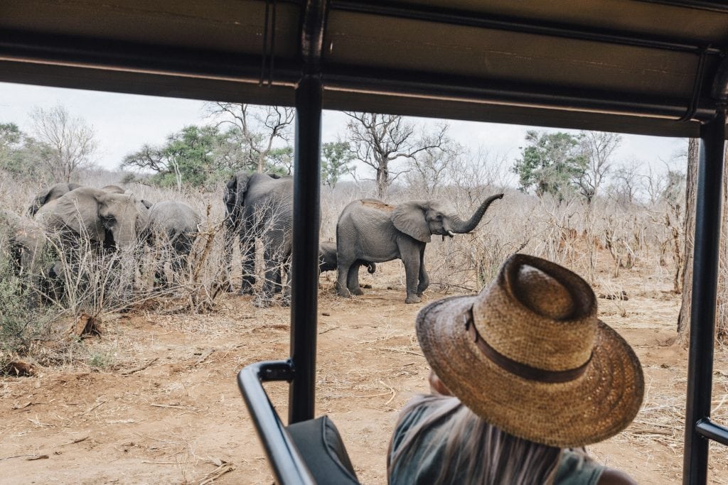 A guest spotting elephants on a game drive at Matetsi Victoria Falls
