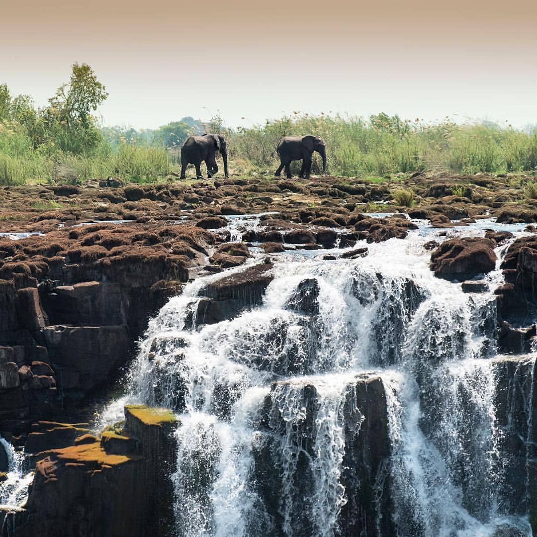 Zambezi River Fishing Where To Go What To Expect   2016 09 17 07.36.23 1341091472733100813 3019259967 1 