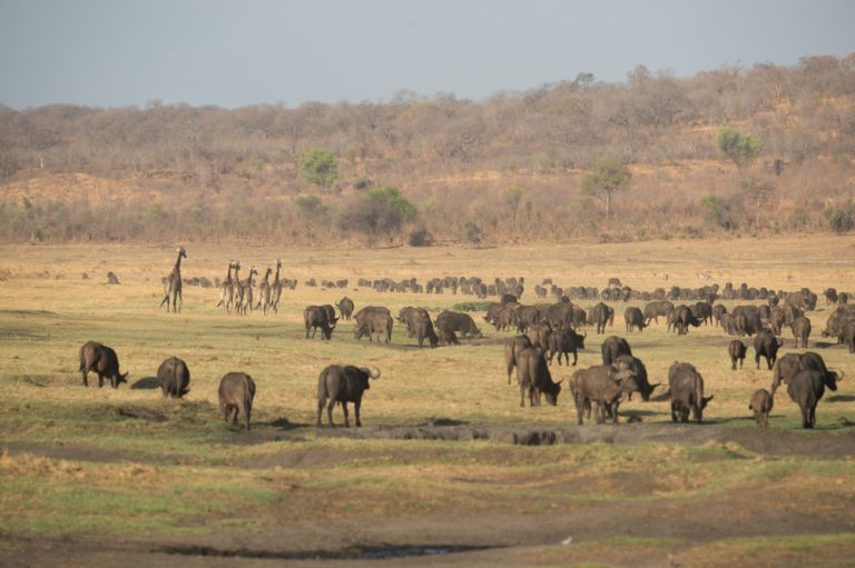 Best Time To Visit Victoria Falls