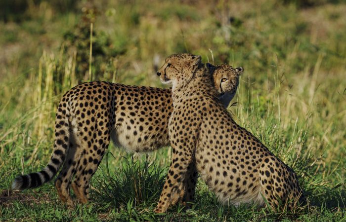 MATETSIKMA_240424_DSC4694 (1)